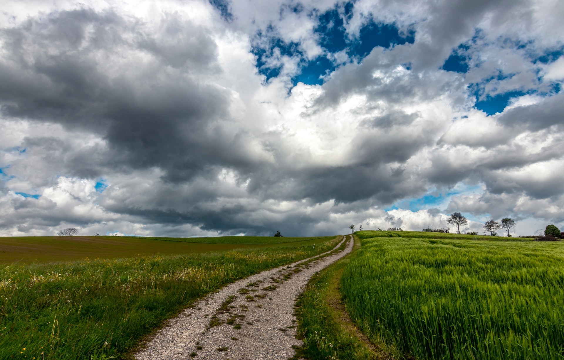 Resolving bind address already in use error in Docker