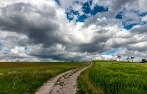 blog article title image