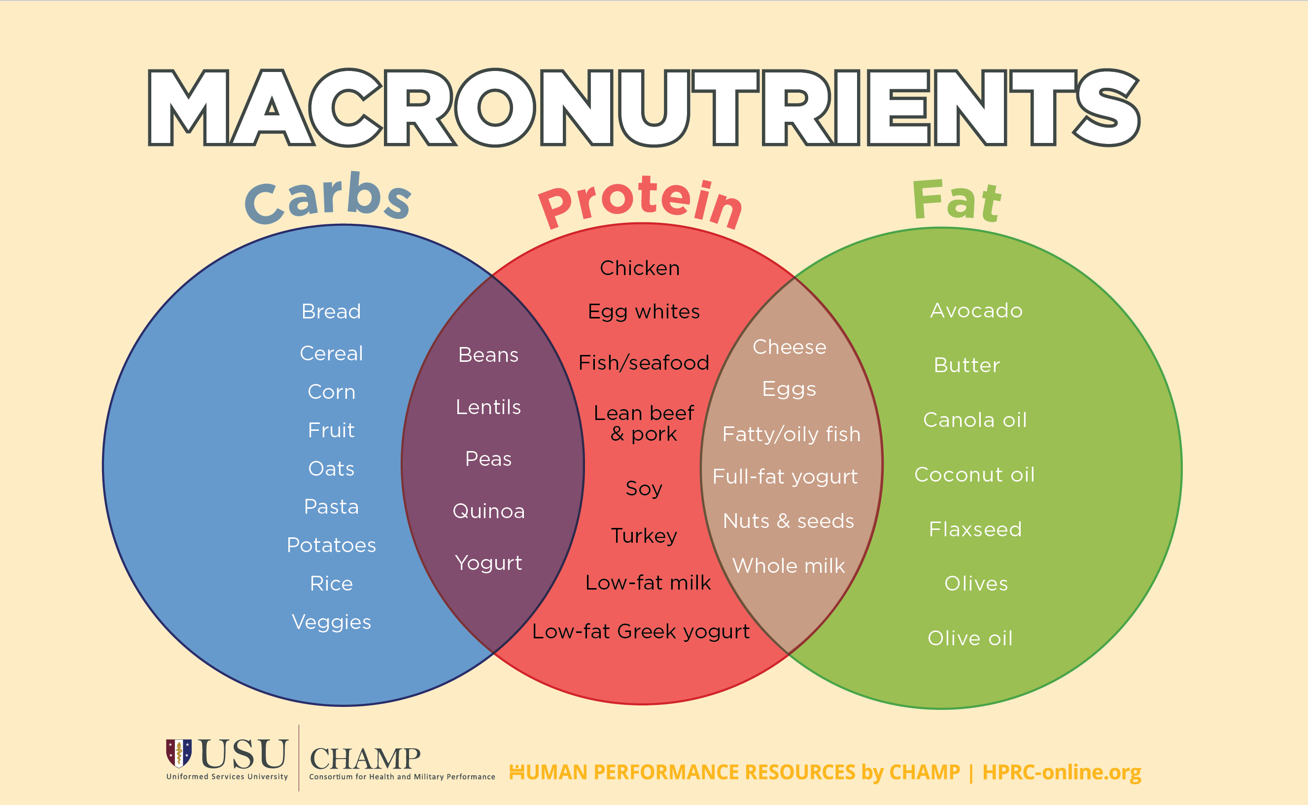 An Athlete's Guide to Macronutrients for Gaining and Maintaining Muscle!