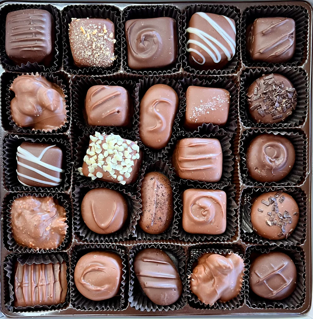 Life is Like a Box of Chocolates: A Neurobiological Perspective on the Necessity of Disappointment