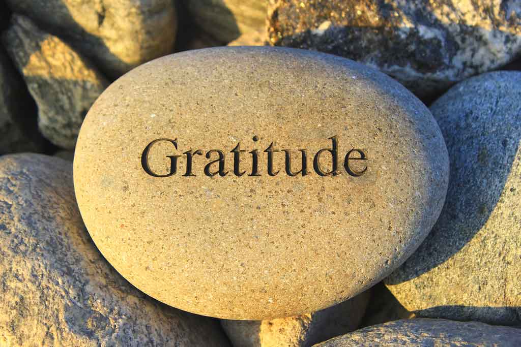 Gratitude: A Powerful Tool for Success 