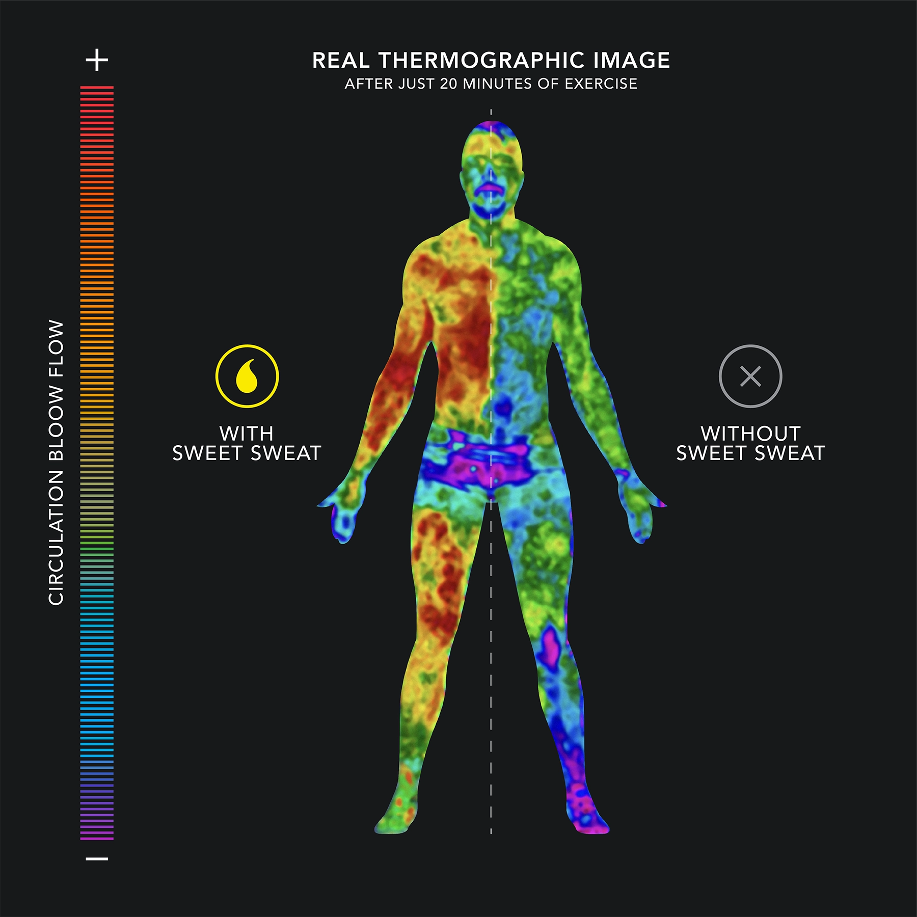 SS UFC Thermographic