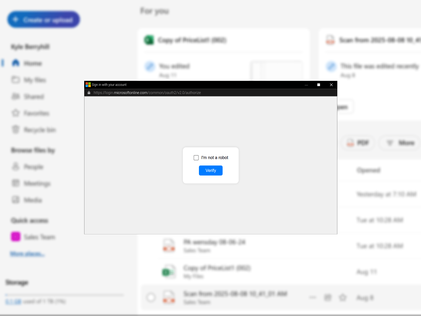 Raccoon0365 screenshot with BITB.