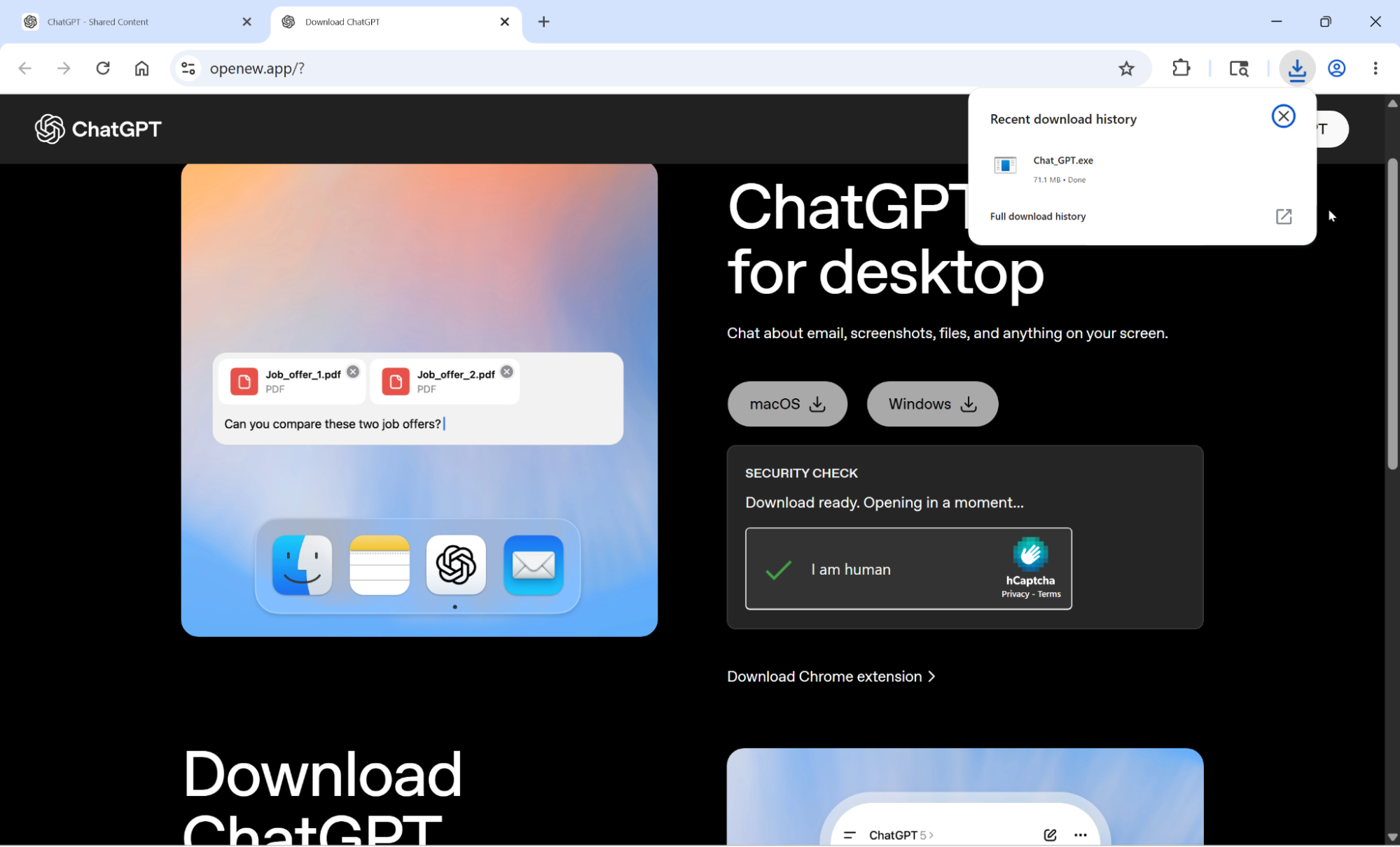 LLMShare page with download panel
