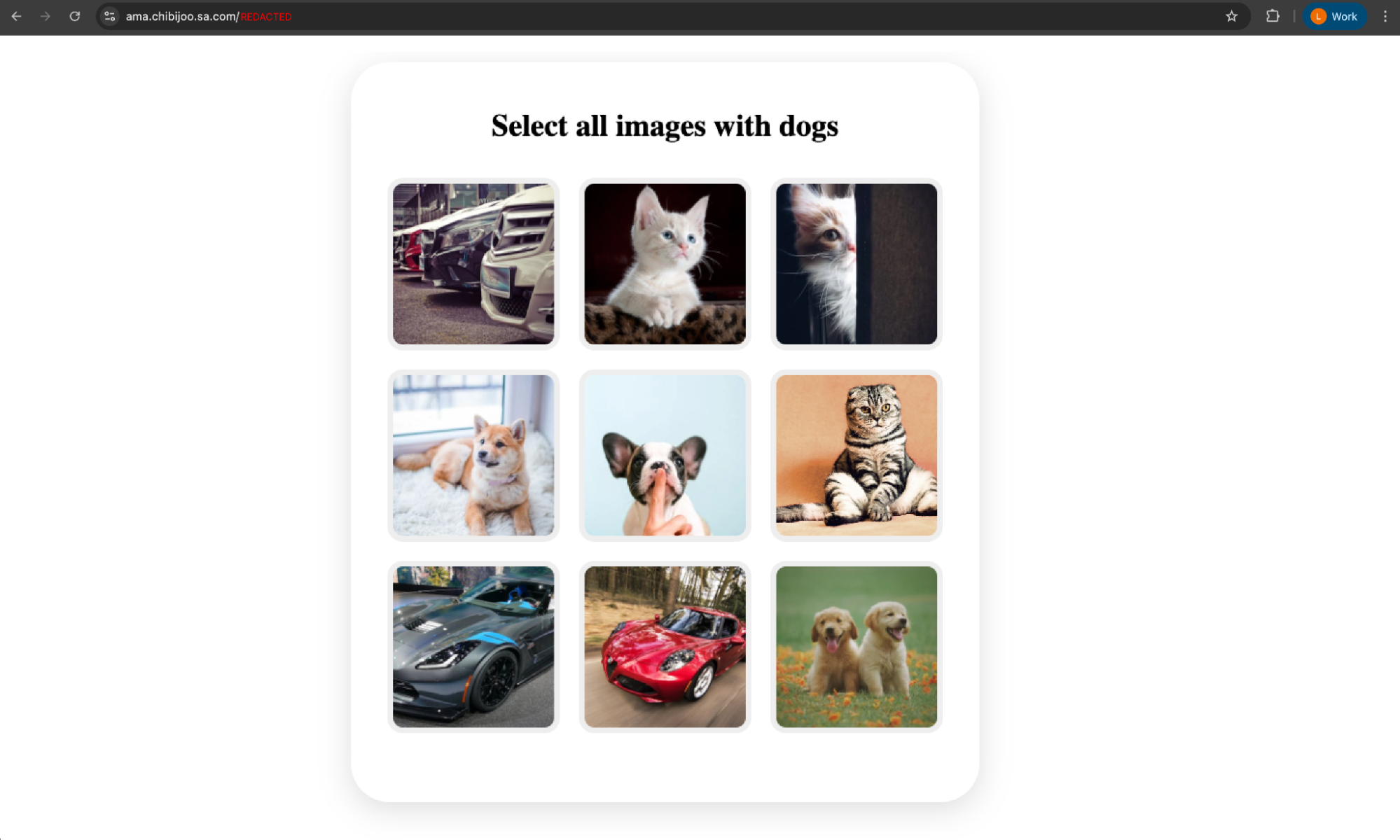 Custom CAPTCHA pages are becoming increasingly common.