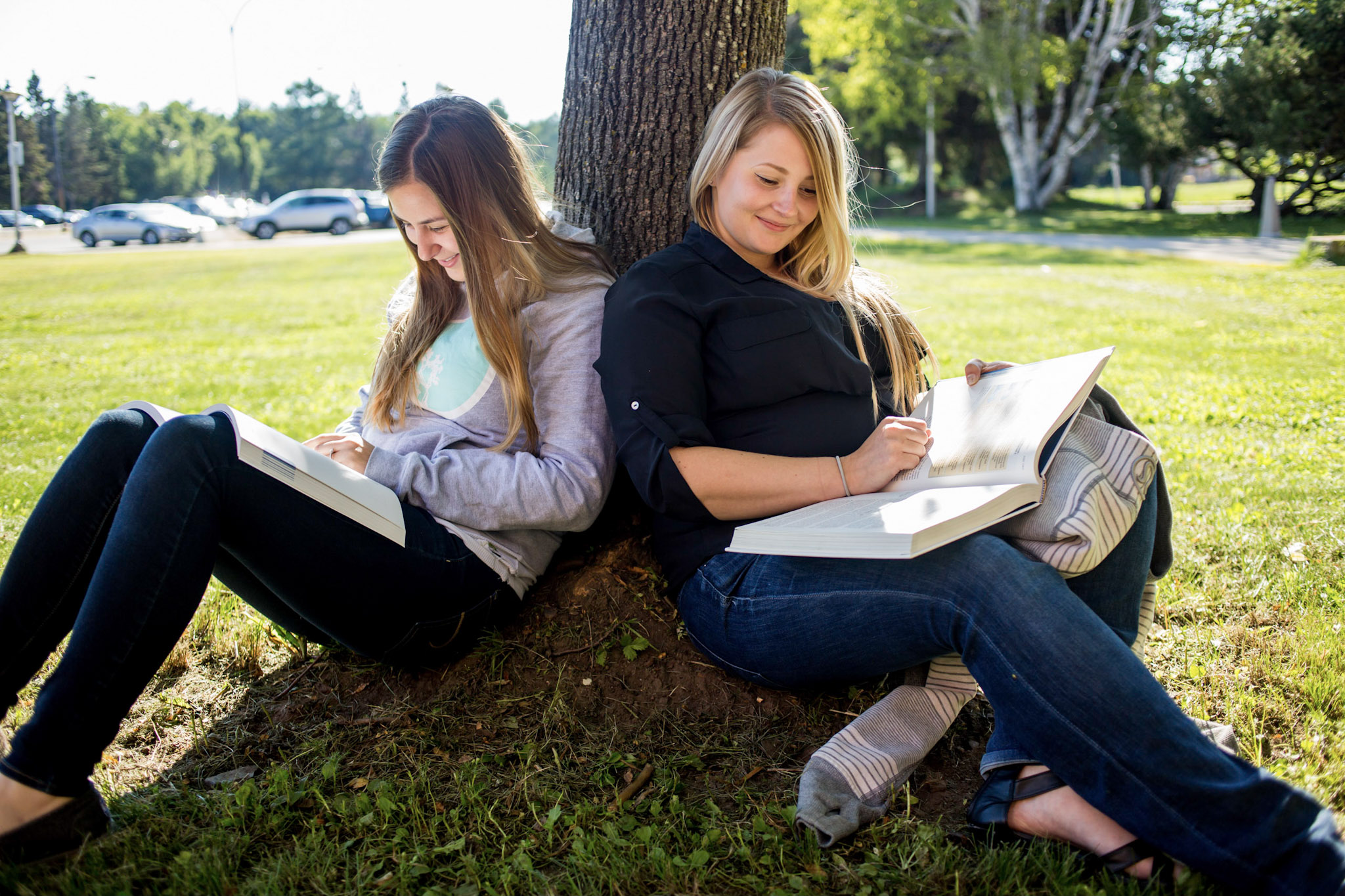 Two college students were studying under the shade of a tree.
