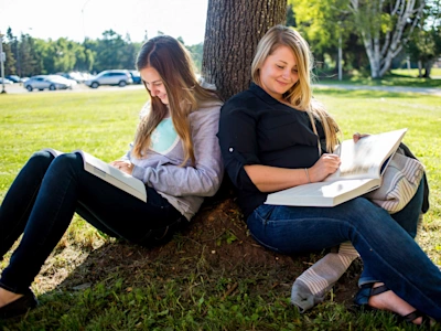 Two college students were studying under the shade of a tree.