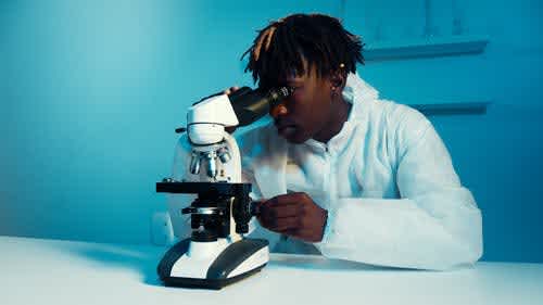 morgan-student-looking-through-microscope