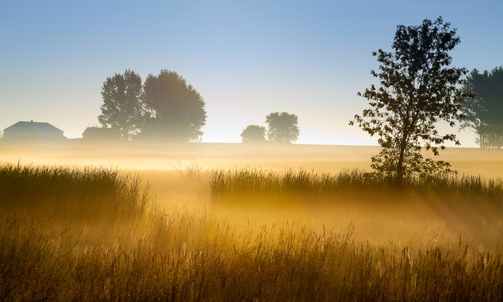 rural-america