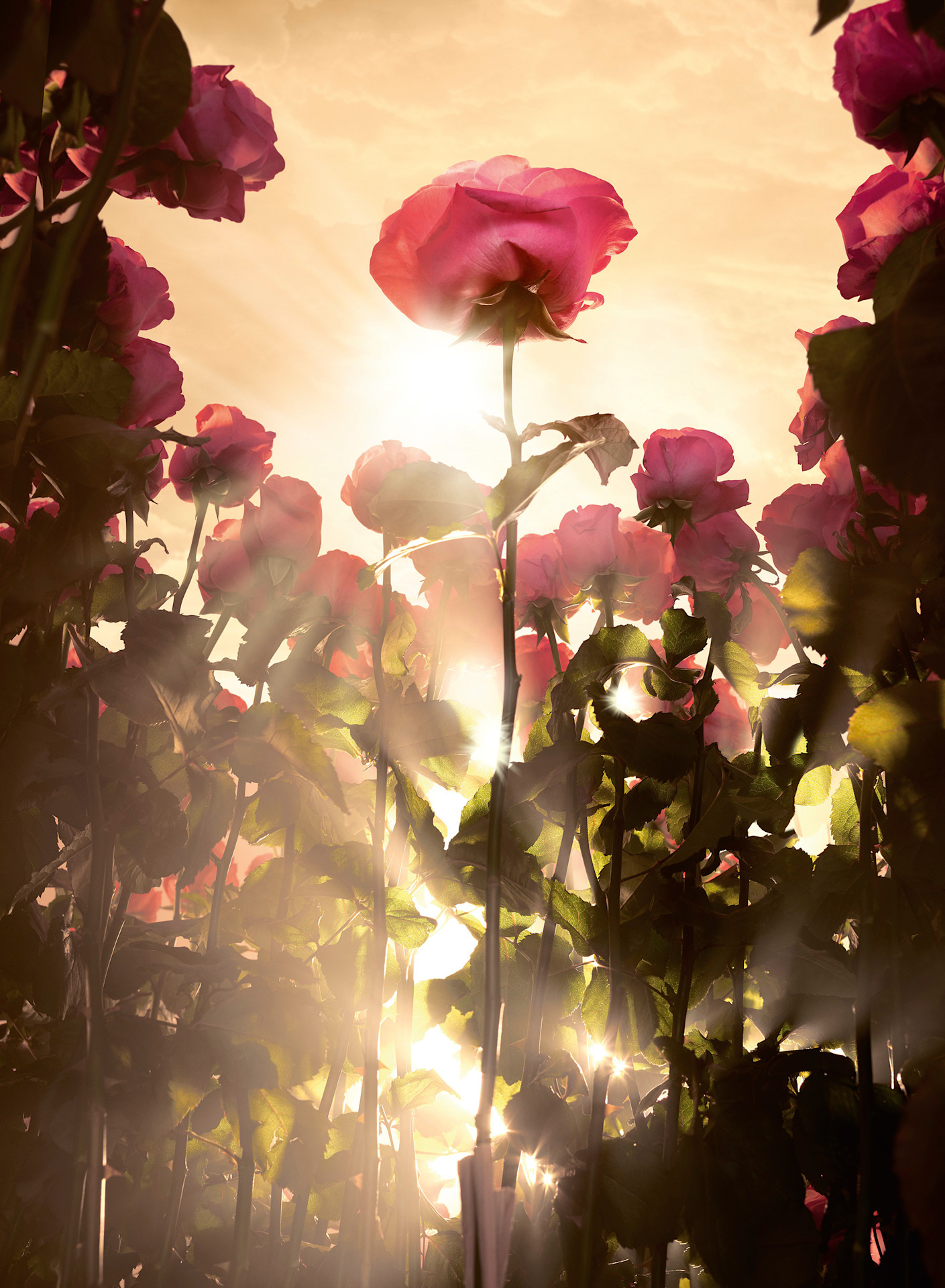 SECONDAIRE ABSOLUE CHAMPS 1 101 HD CMJN webae