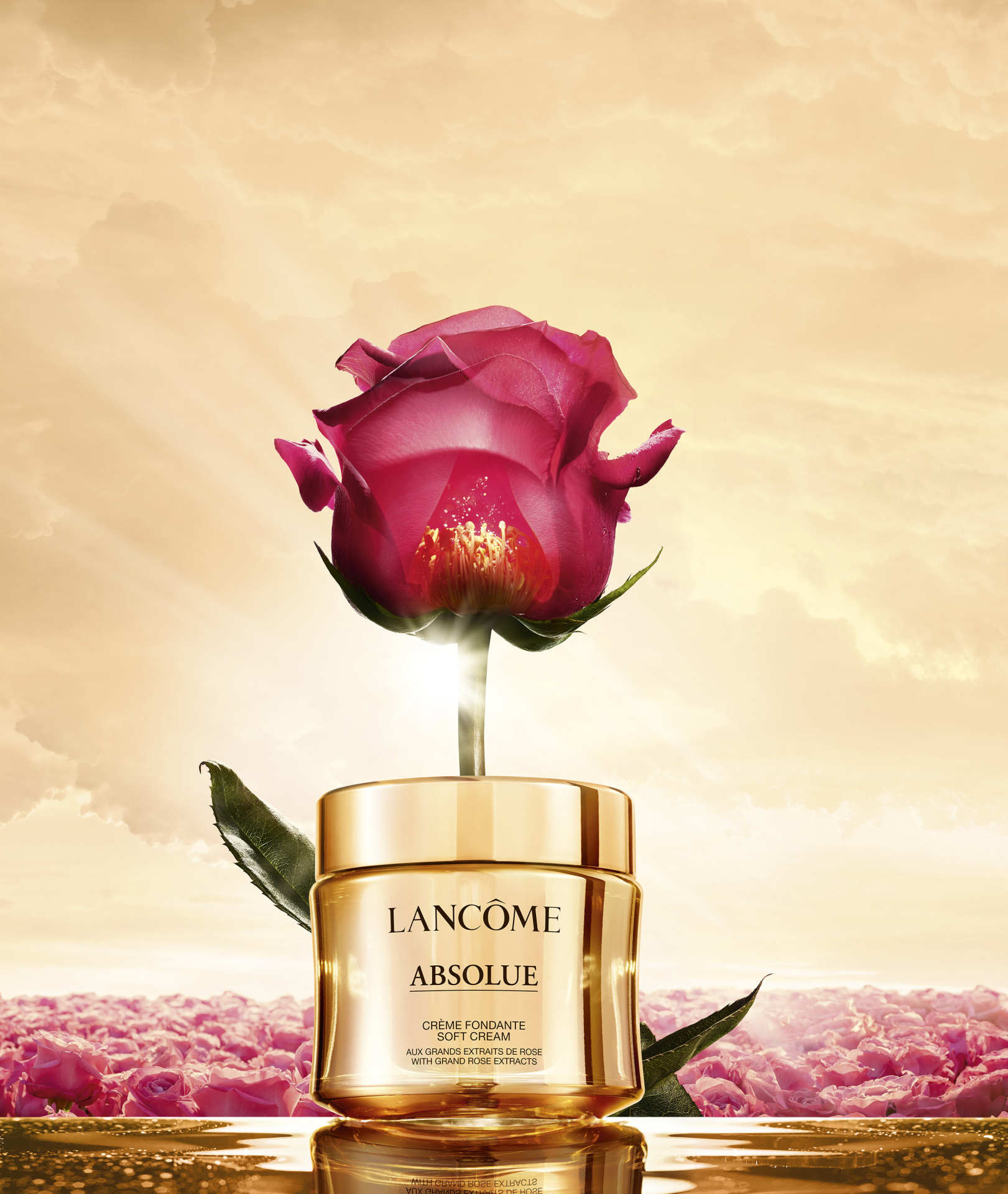 LANCOME ABSOLUE ROSE SP 9 110 CD webae