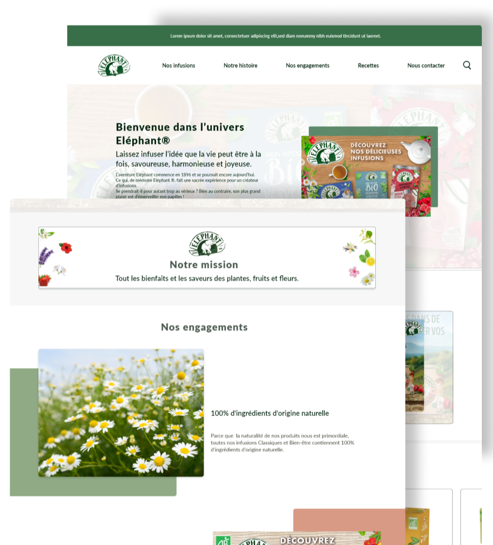 Tailored web solutions for performance-driven and scalable websites