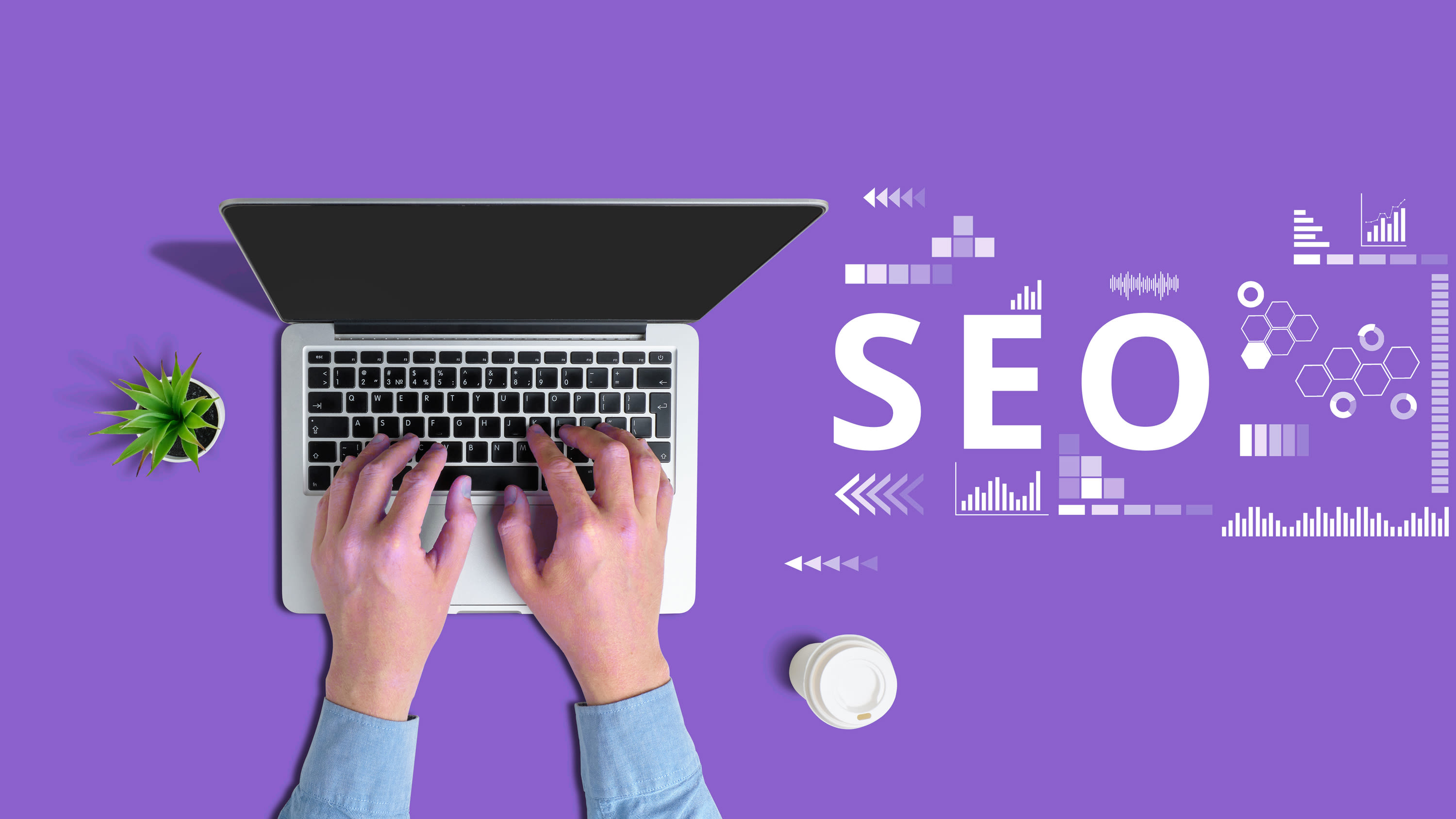 concept-search-engine-optimization-specialist2