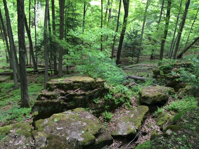 The Excursionist Hidden Wonders In Dundas Valley Conservation Area   HIDDEN WONDERS IN DUNDAS VALLEY CONSERVATION AREA Title 