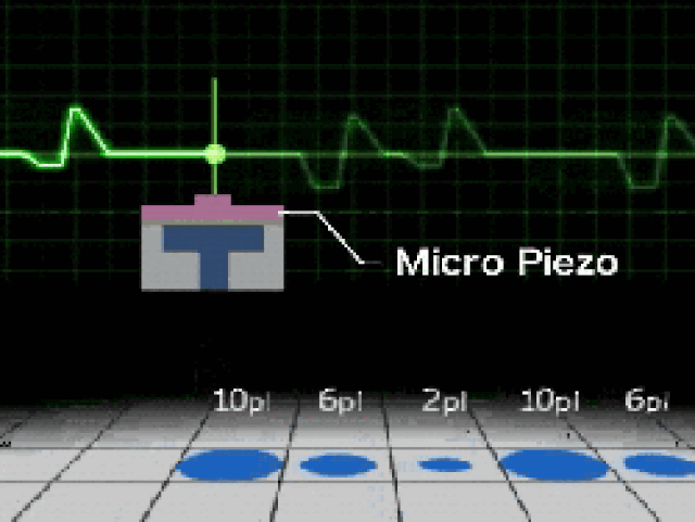 640px-Micro Piezo Animation