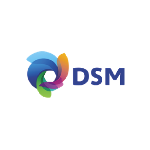 DSM