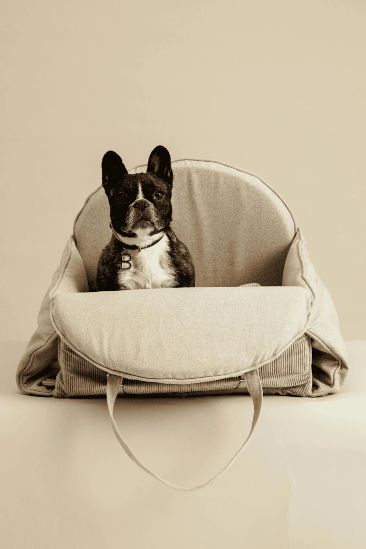 Enhanced Feed > #Pets