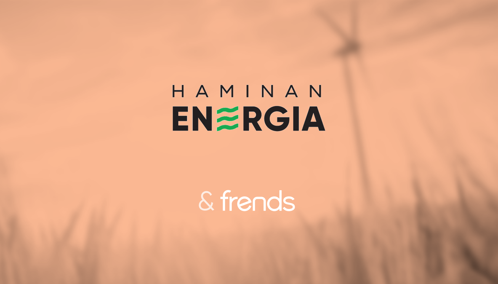 Hamina Energy