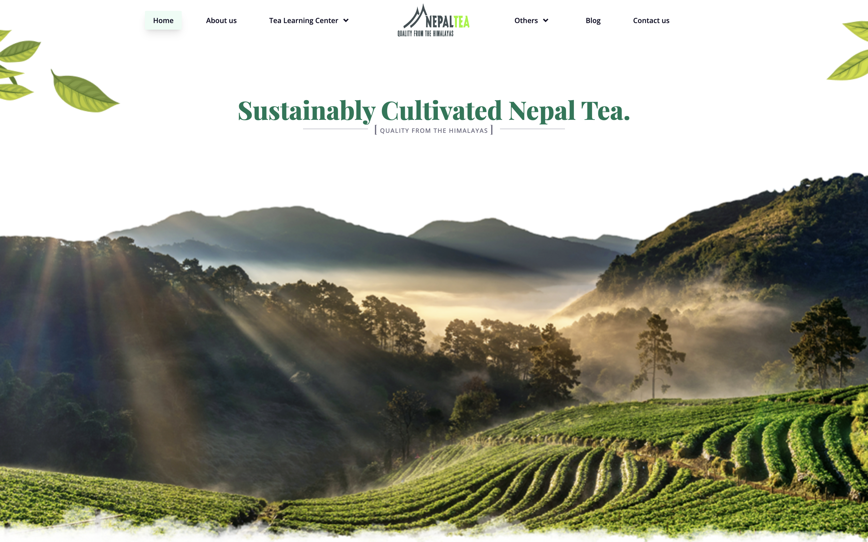 HMCOOP- Sustainably Cultivated Nepal Tea.