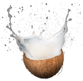 Coconut Milk ingredient illustration