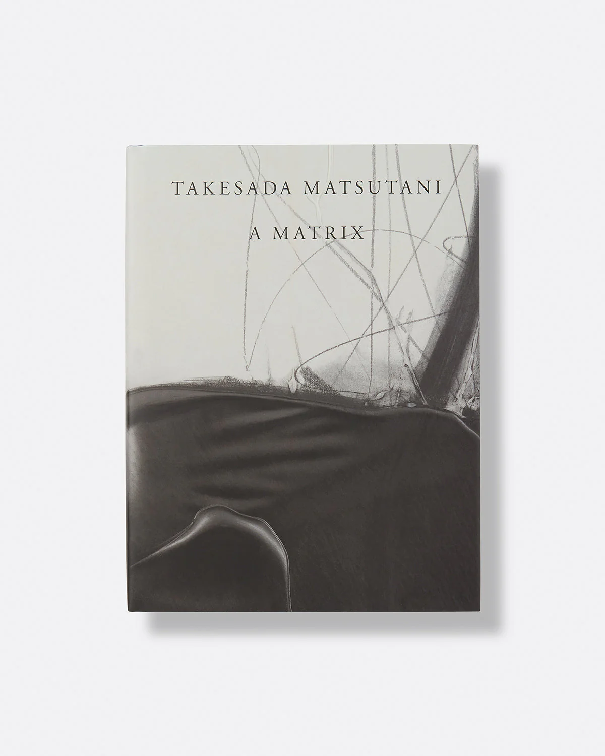 Image for Takesada Matsutani: A Matrix