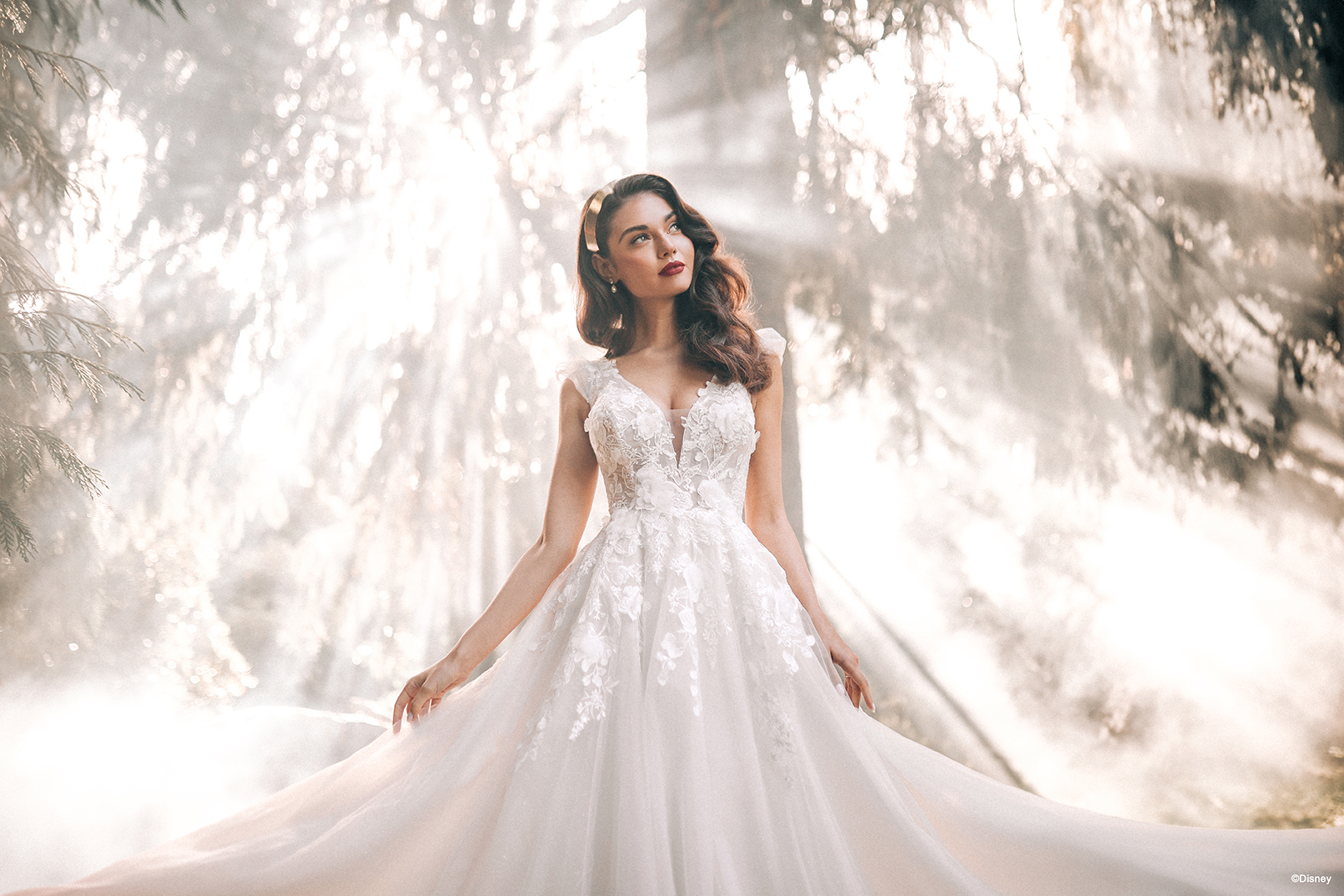 Sleeping Beauty Disney Wedding Dresses