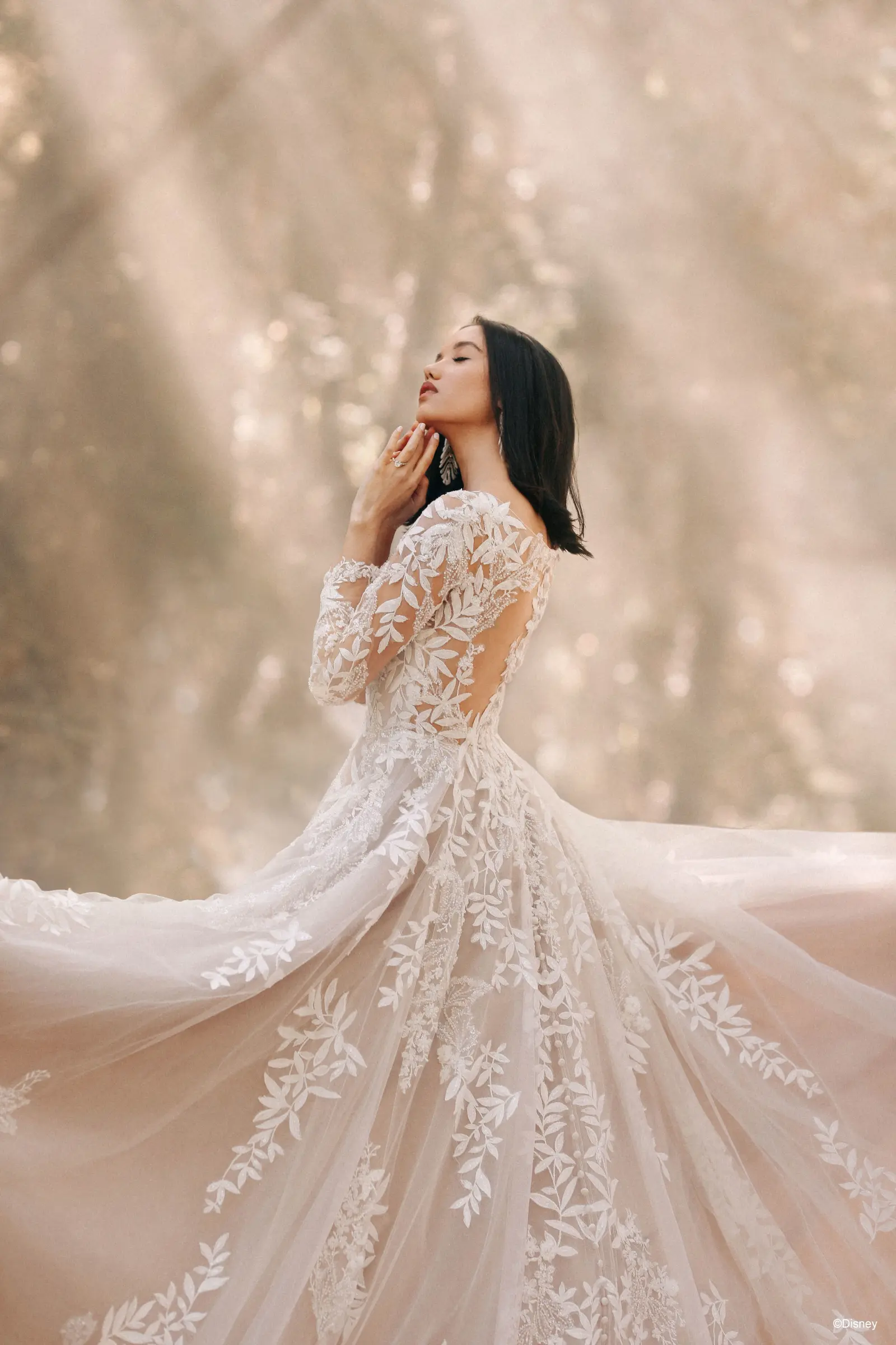 Embrace Classic Romance with Long Sleeve Wedding Dresses on Your