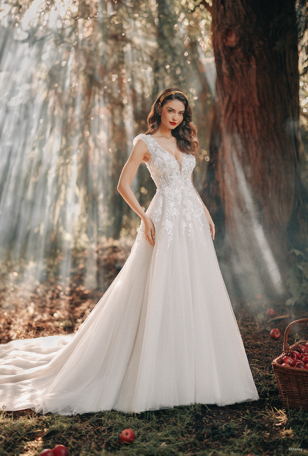 Disney ball gown wedding hot sale dresses