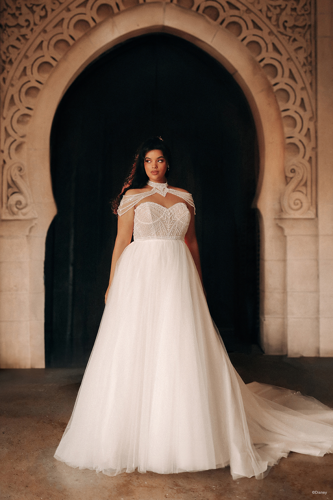 Plus size clearance disney wedding dresses