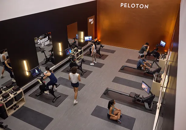 A Peloton branded gym space, featuring Peloton Row+ Pro and Peloton Bike+ Pro equipment