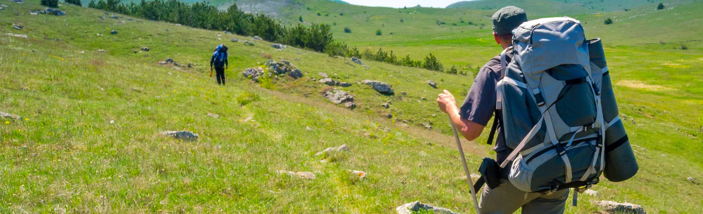 A Recognized Leader In The Green Bond Market Nn Investment Partners