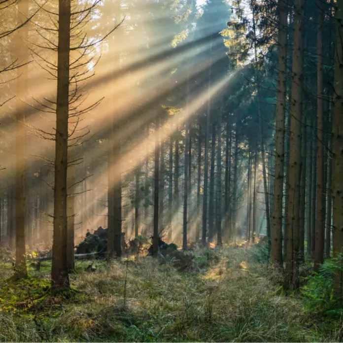 Hoteller tæt på naturen