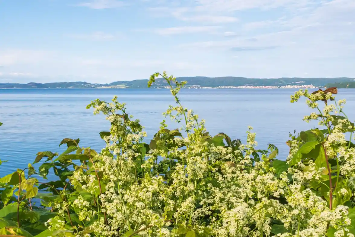 Jönköping