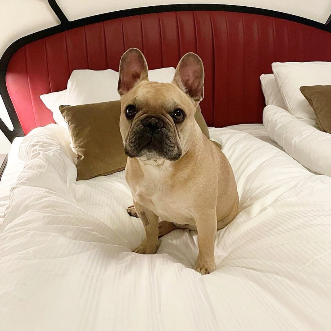 Hotel Giò, BW Signature Collection