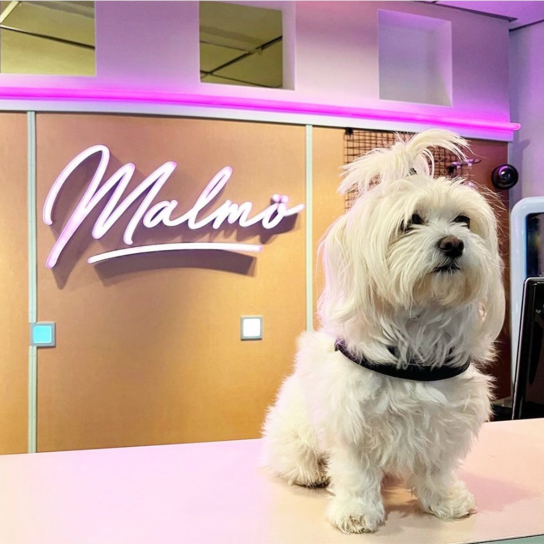 Best Western Plus Hotel Noble House