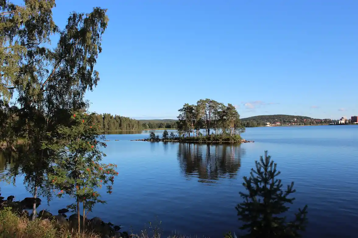 Besök naturreservatet Malingarna i Ludvika