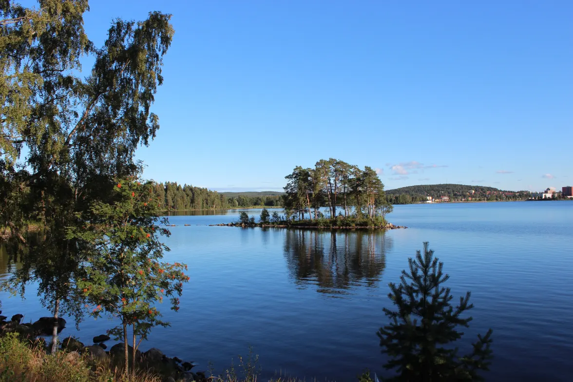 Besök naturreservatet Malingarna i Ludvika