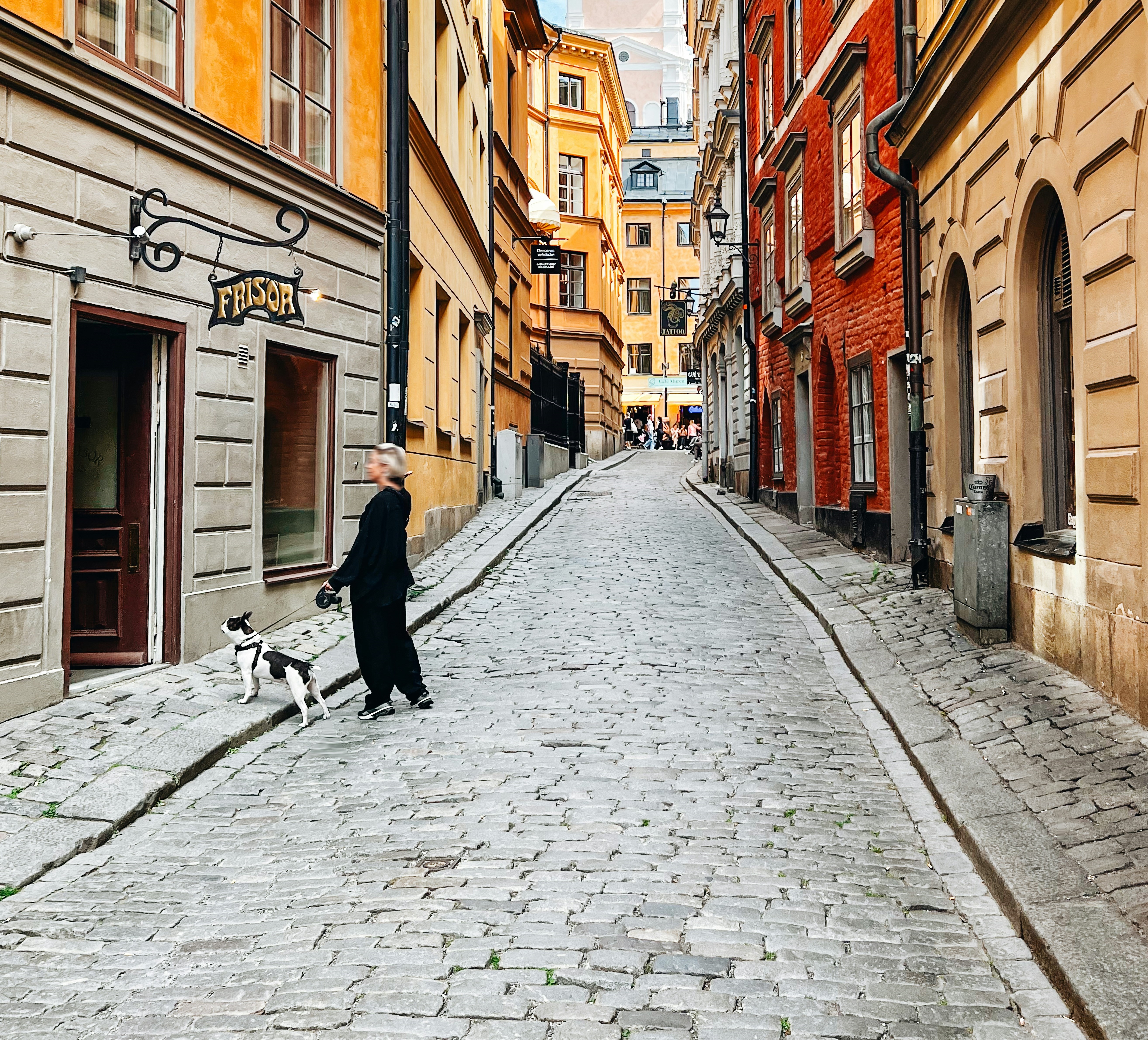 Hundvänliga hotell Stockholm
