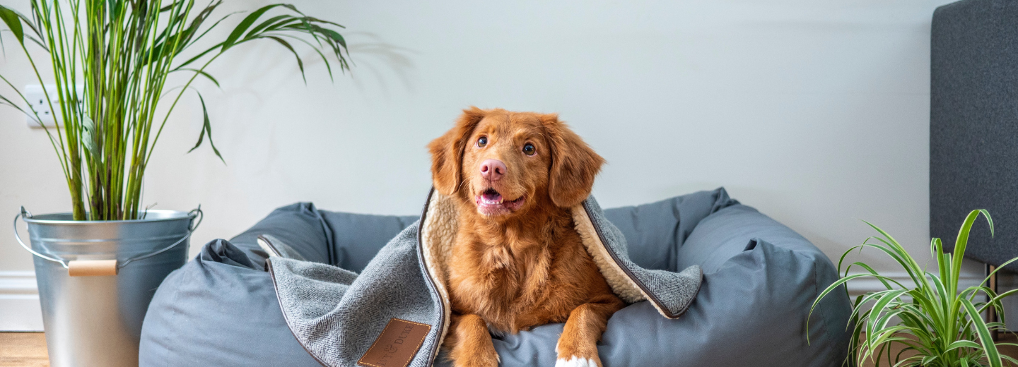 Best Western Plus Hotel Bakeriet