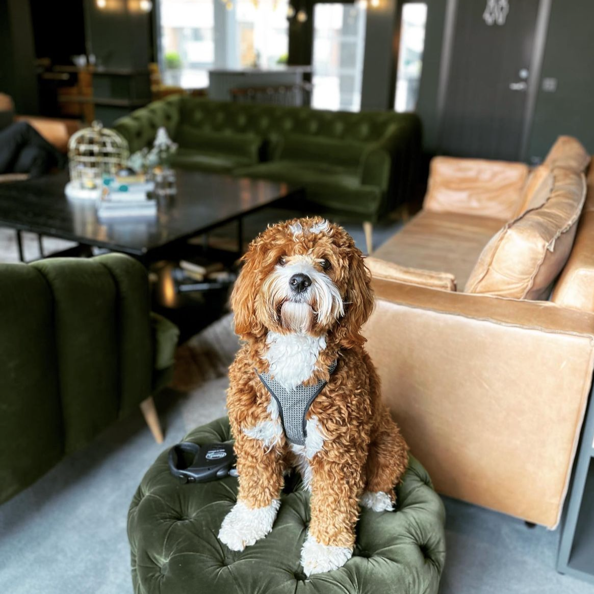 Best Western Plus HUS 57