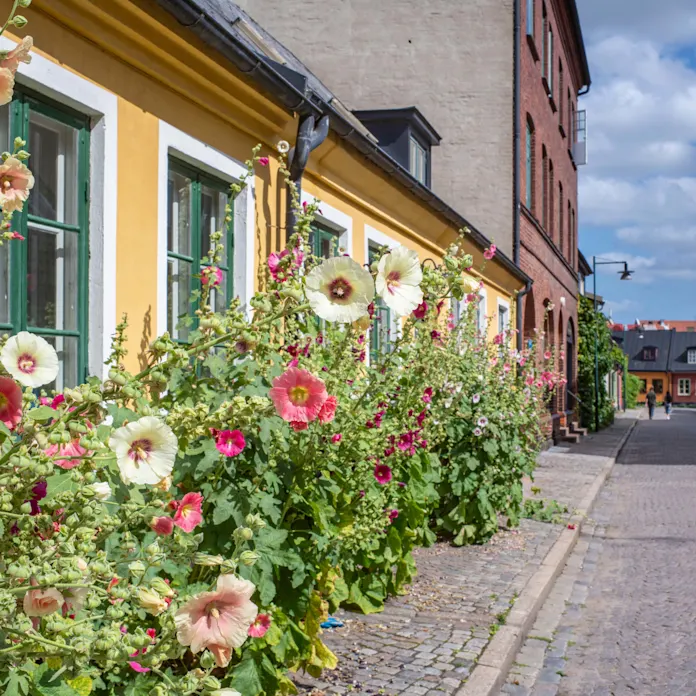 Lund