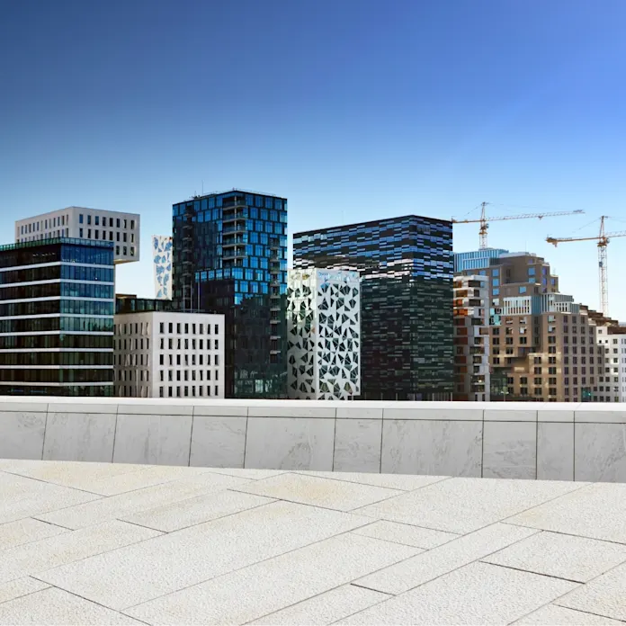 Konferens i Oslo
