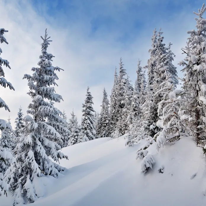 Snösäkra hotell 