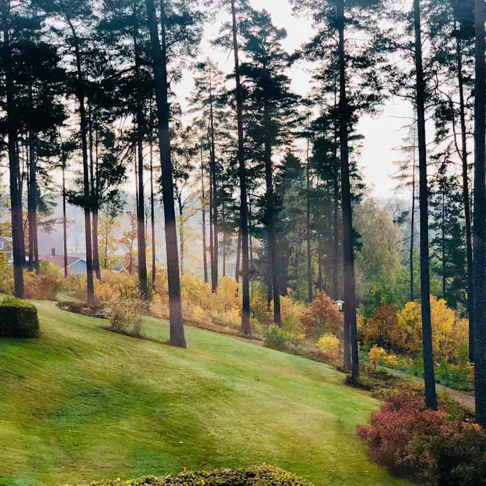 Konferens nära naturen