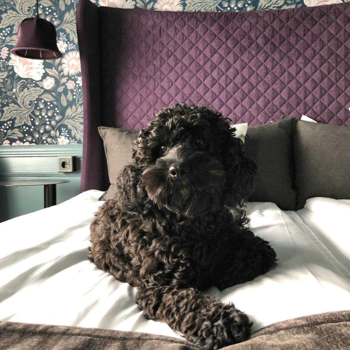 Best Western Princess Hotel