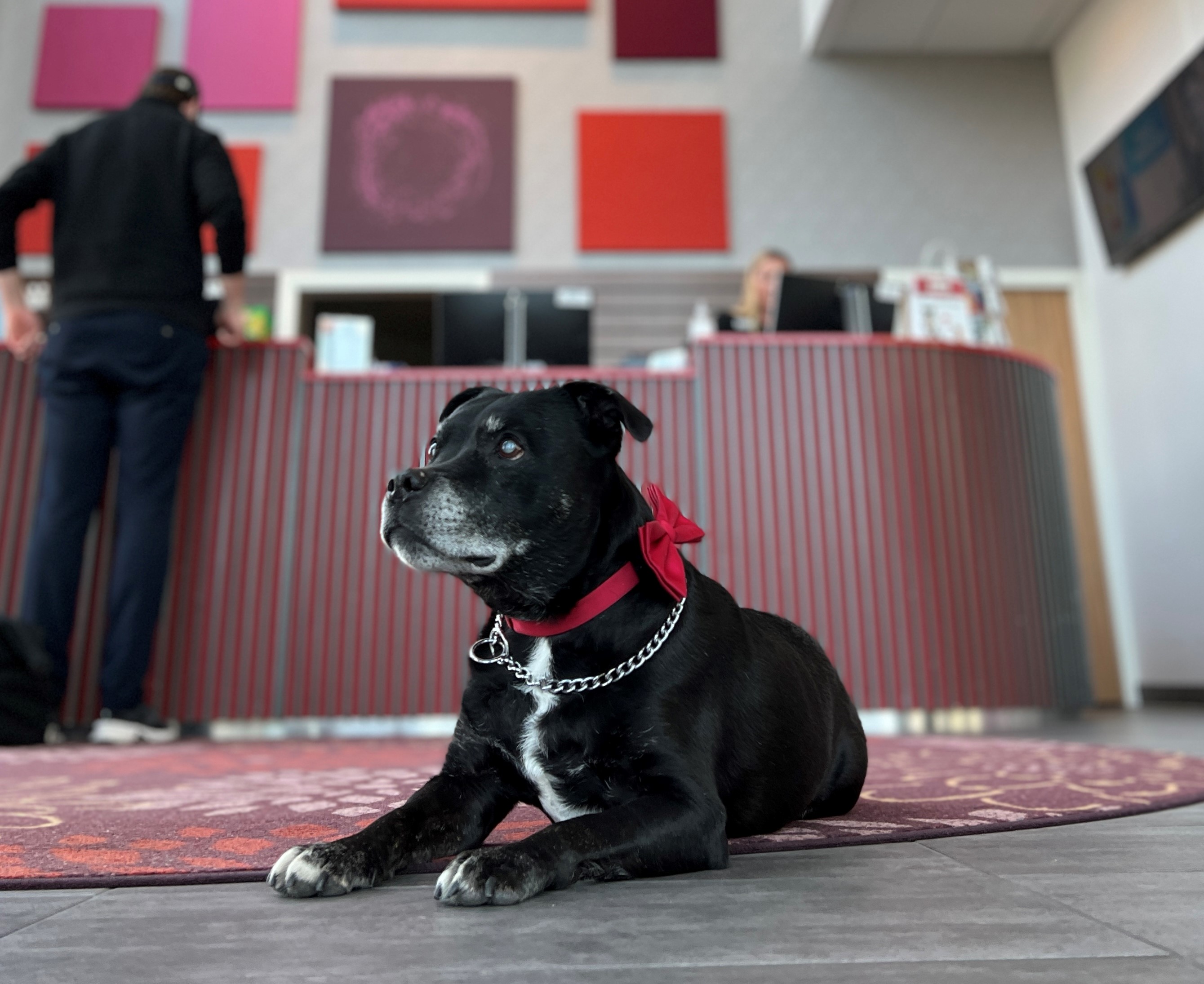 Best Western Malmö Arena Hotel