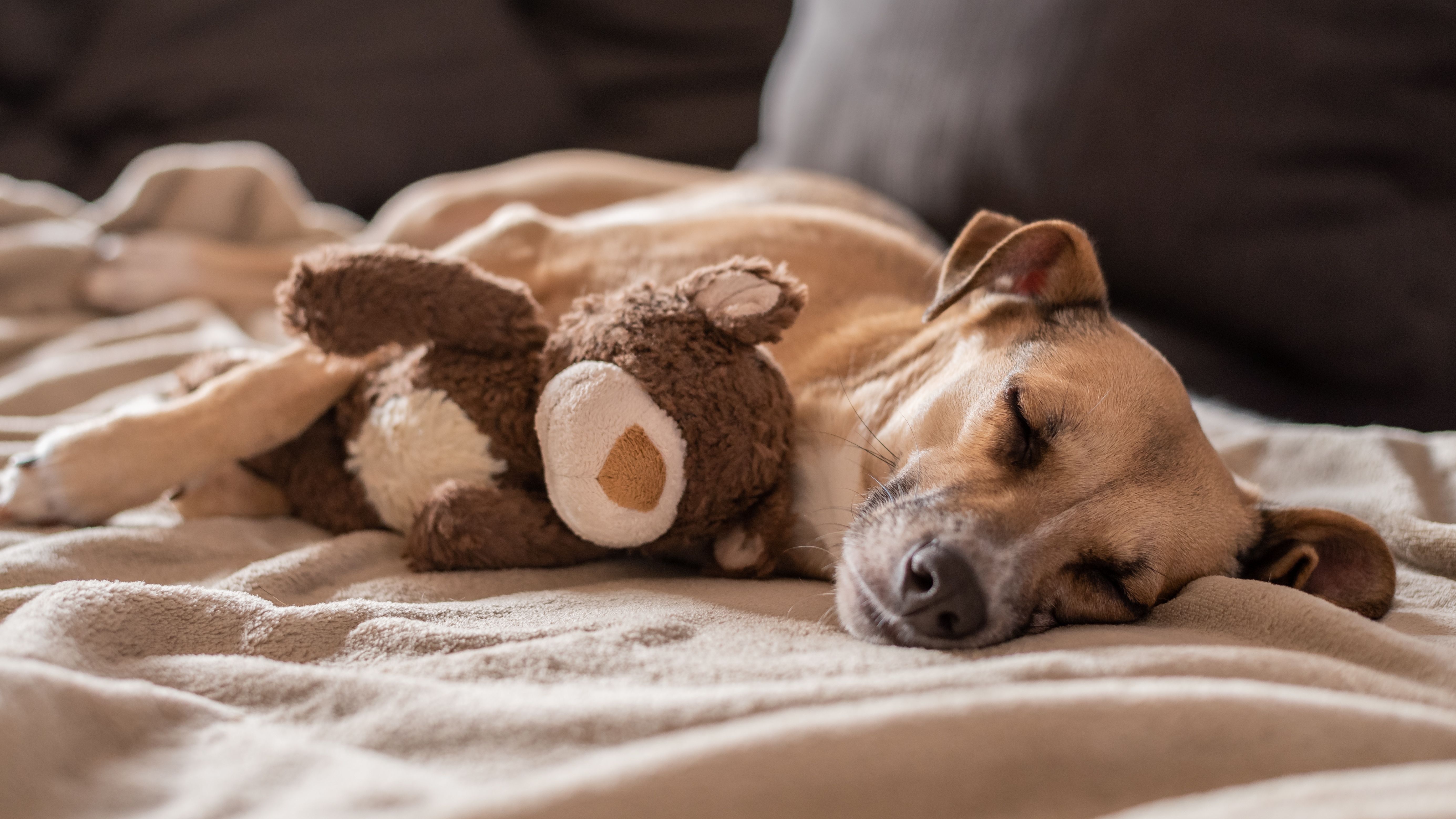 Aiden by Best Western Lolland