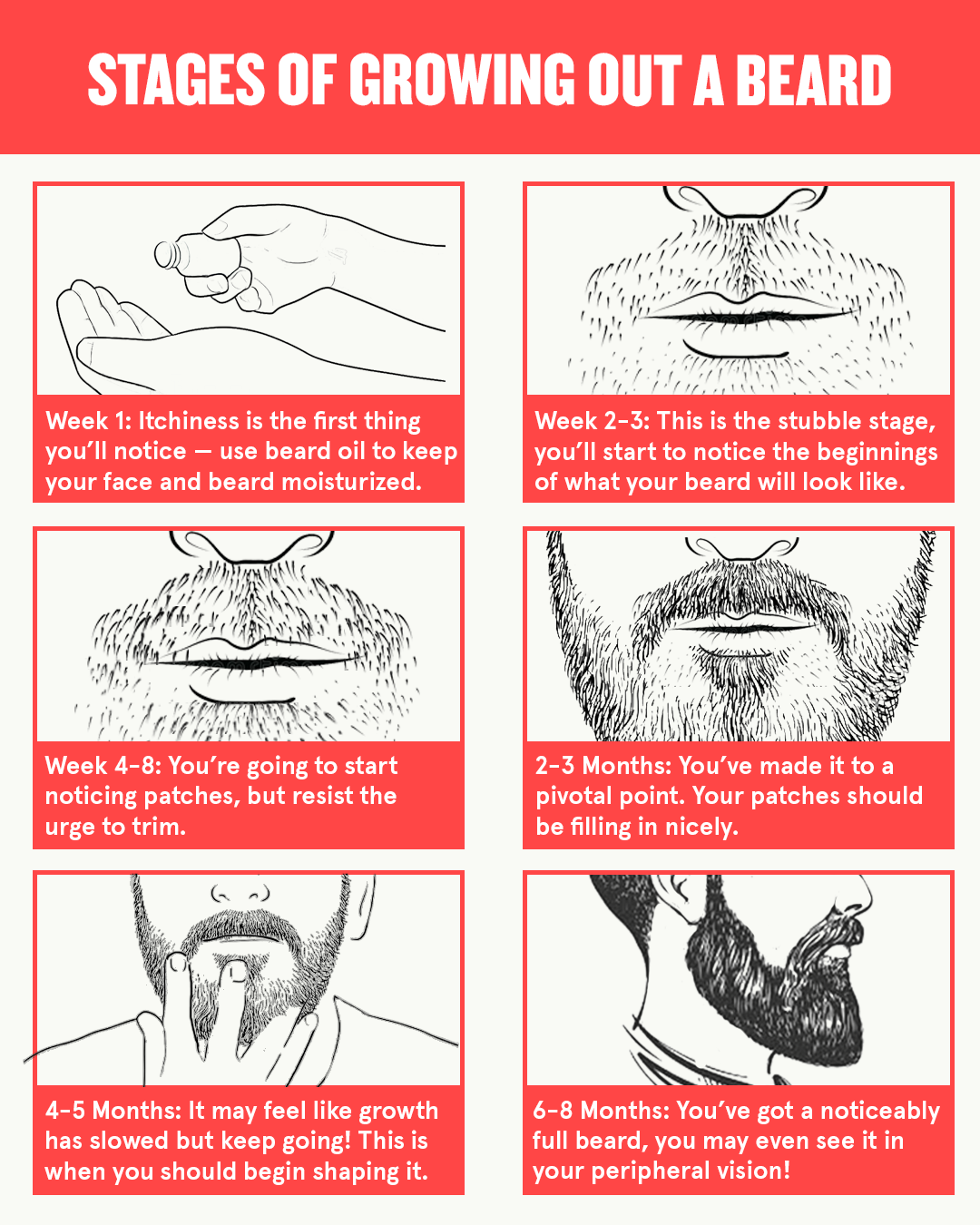 Beard Growth Patterns 