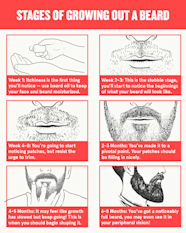 Beard Growth Patterns