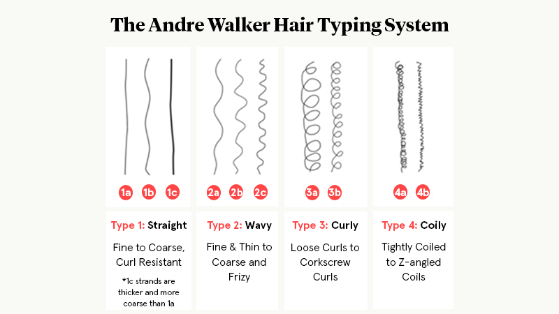 Curly Hair Types Chart: How to Find Your Curl Pattern